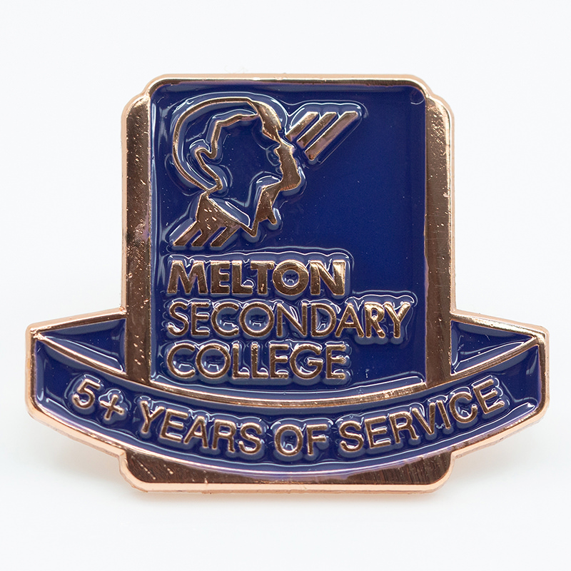 5 Year Rose Gold Pin