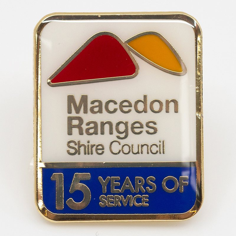 15 Year Pin